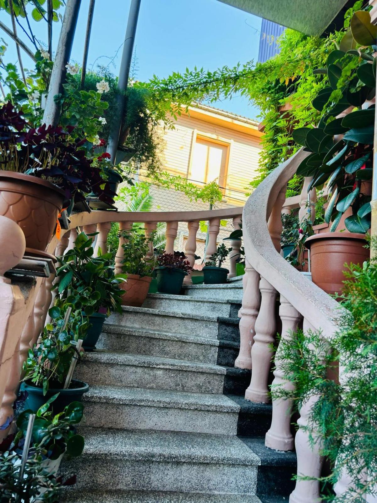 Nana'S House Hotel Batumi Exterior photo
